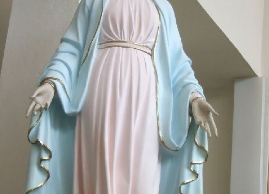 Visita de la Virgen Peregrina